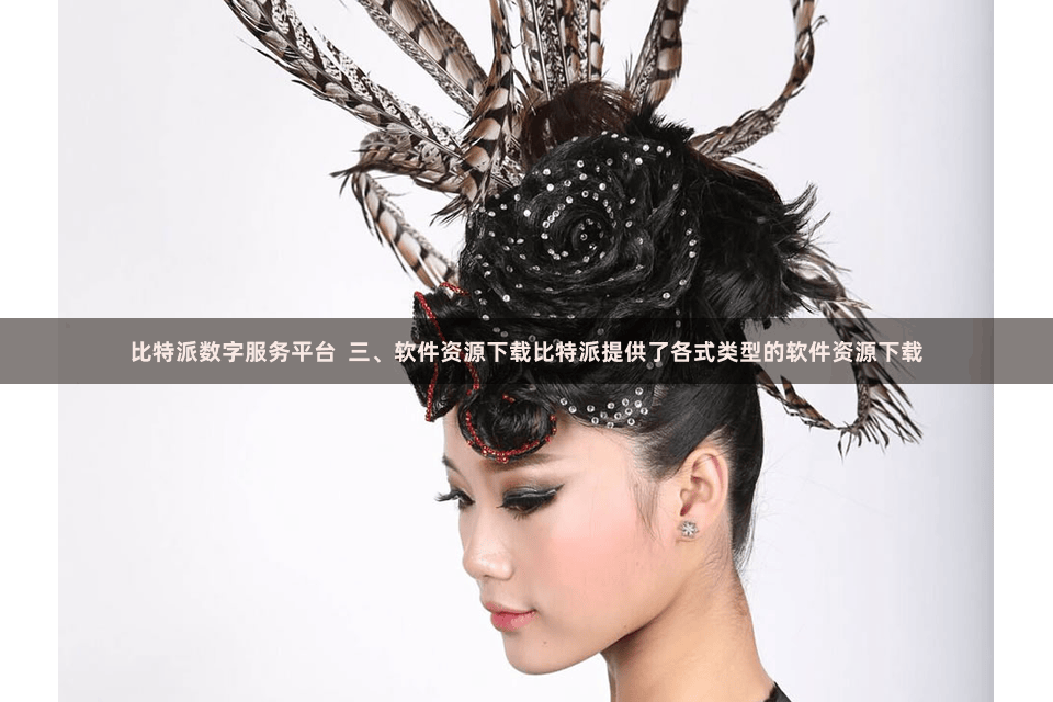 比特派数字服务平台 三、软件资源下载比特派提供了各式类型的软件资源下载