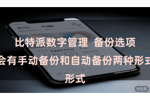 比特派数字管理  备份选项会有手动备份和自动备份两种形式
