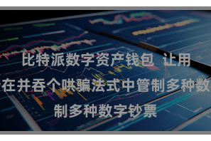 比特派数字资产钱包  让用户不错在并吞个哄骗法式中管制多种数字钞票