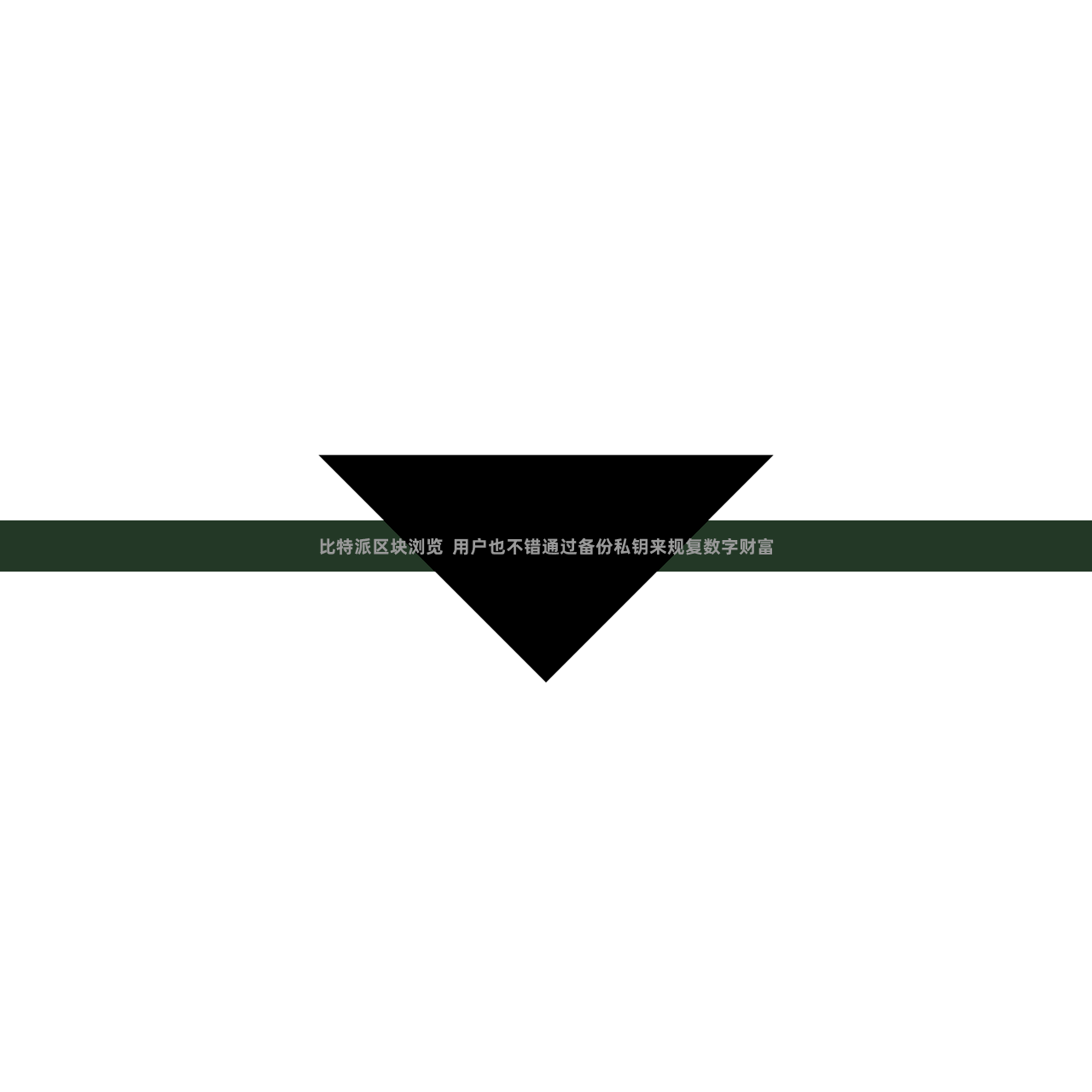 比特派区块浏览  用户也不错通过备份私钥来规复数字财富