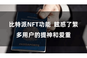 比特派NFT功能  眩惑了繁多用户的提神和爱重