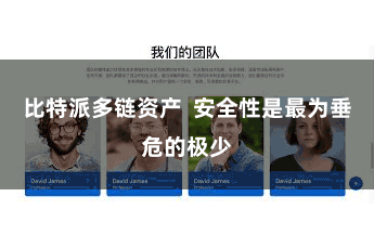 比特派多链资产  安全性是最为垂危的极少