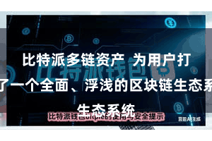 比特派多链资产  为用户打造了一个全面、浮浅的区块链生态系统